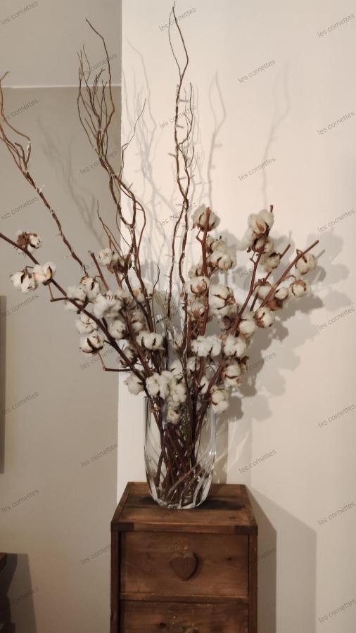 Appartement Meuble Classe 3 Etoiles De 72 M2, 2 Chambres مورزين المظهر الخارجي الصورة